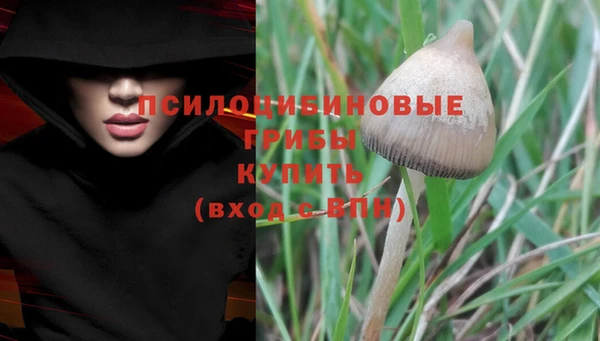 индика Нея
